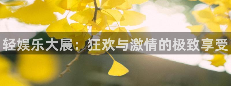 百达娱乐：轻娱乐大展：狂欢与激情的极致享受