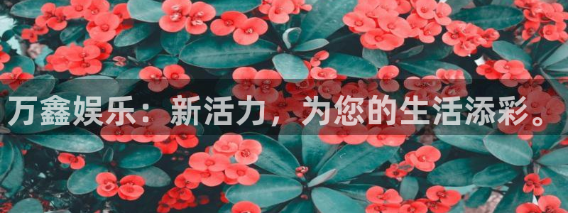 百达娱乐：万鑫娱乐：新活力，为您的生活添彩。