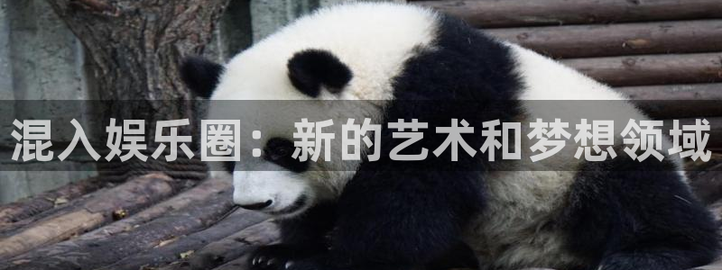 百达娱乐：混入娱乐圈：新的艺术和梦想领域