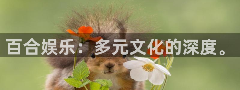 百达娱乐：百合娱乐：多元文化的深度。